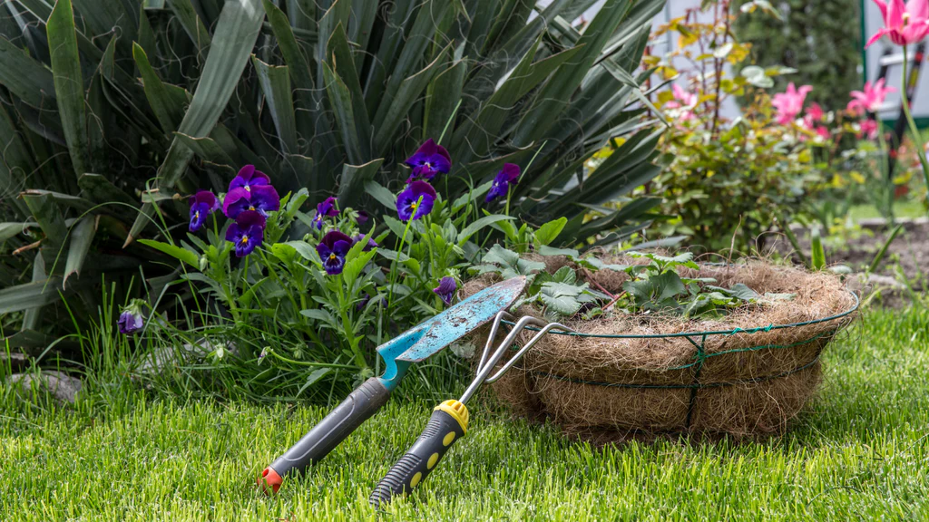 Beginner’s Guide to Starting a Home Garden