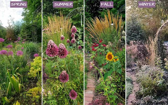 Seasonal Gardening Checklist: What to Plant Throughout the Year